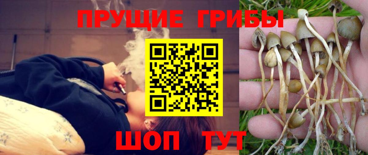 Псилоцибиновые грибы мицелий  Вход с VPN  Псилоцибиновые грибы ЛСД  Белогорск 